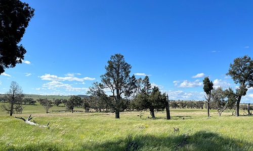 Bellambi Heights Renewable Project